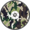 3-CAMO